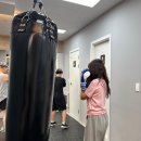 바운스복싱 이미지