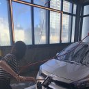 안경갤러리한림대점 | [젤리건강] 이빨 빠진 호양이