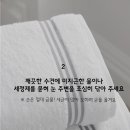 올바른 동물병원 이미지