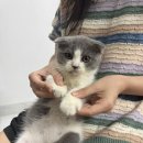 병영여자경로식당 | 다낭 여자 혼자 할 것 추천｜베트남 쿠킹 클래스 솔직 후기 (혼자 참여/영어)