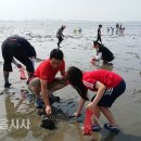 보성초교 이미지