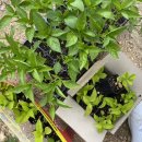 그린팜협동조합 이미지