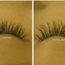 이미호아이래쉬 이미지