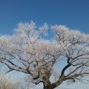 산내들어린이집 이미지