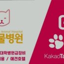 햇살동물병원 - 양천구 월정로 46 | 햇살동물병원