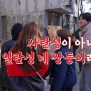 총각네 푸드
