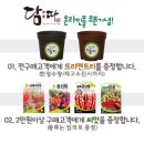 담따