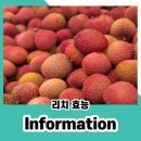 리치 이미지