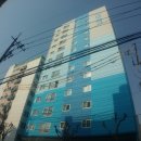 다인리치뷰 이미지