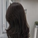 미용실 밤