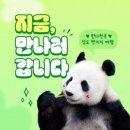 쏭투어 이미지