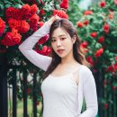 망원 성원 2차 아파트 이미지