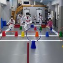 용인대 다정태권도 이미지