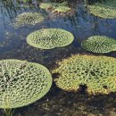 남양산역저수지 이미지