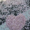 임곡2리 이미지