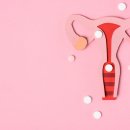 새순산부인과여성의원 네이버블로그