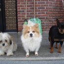 강릉우리집 이미지