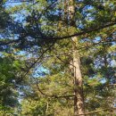 금강호 관광지 이미지