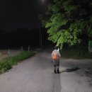 거창 박유~일산~감토산 종주 (260509) 이미지