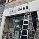 댕글 몽글 네이버블로그