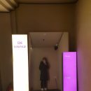 디에스라운지 - 125201 | 디에스라운지
