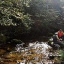 강따라 민박 이미지