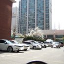 터미널공인중개사사무소 이미지