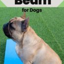 마이리틀메이트 이미지