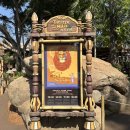 라이온씨티 | 홍콩 디즈니랜드 어트랙션 추천 라이온킹 후기 불꽃놀이 명당 꿀팁 재입장 방법