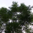 한인농장 이미지