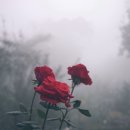 온플래닛