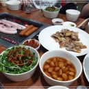 젤코바480 이미지