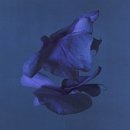 시장로12번길 이미지