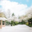 영란여자중학교 이미지