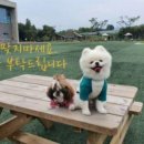 보배유치원 이미지