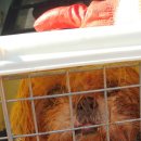 오량초등학교 이미지