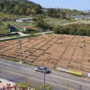 진주텃밭 이미지