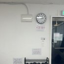 고려동물병원 | 노원 in 공릉 셀프스튜디오 내돈내산 임산부 만삭사진