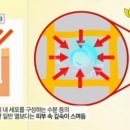 힐스템건강찜질 이미지