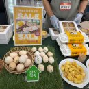 영월동물복지농장 이미지