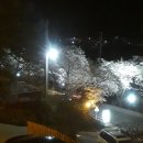 신촌온천모텔 이미지