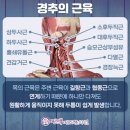 편백미즈한의원 이미지