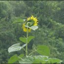 토담농가 이미지