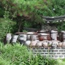 주목옹기 이미지