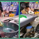 영 모터스 이미지