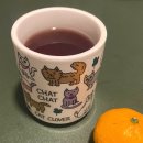 Dream Time(드림 타임) 이미지