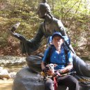 삐삐애견 이미지