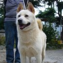 입석농장 이미지