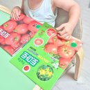 유아책놀이~책속으로 퐁당 | 유아자연관찰책 블루래빗 생생 자연관찰 유아전집 언박싱 후기