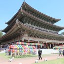 제주 올레길 8코스 이미지
